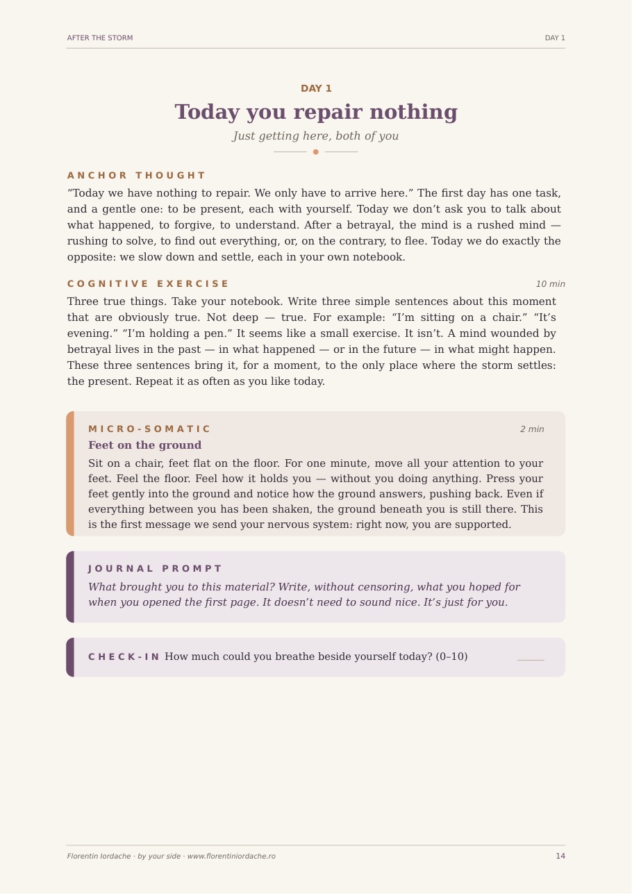 A page from inside After the Affair